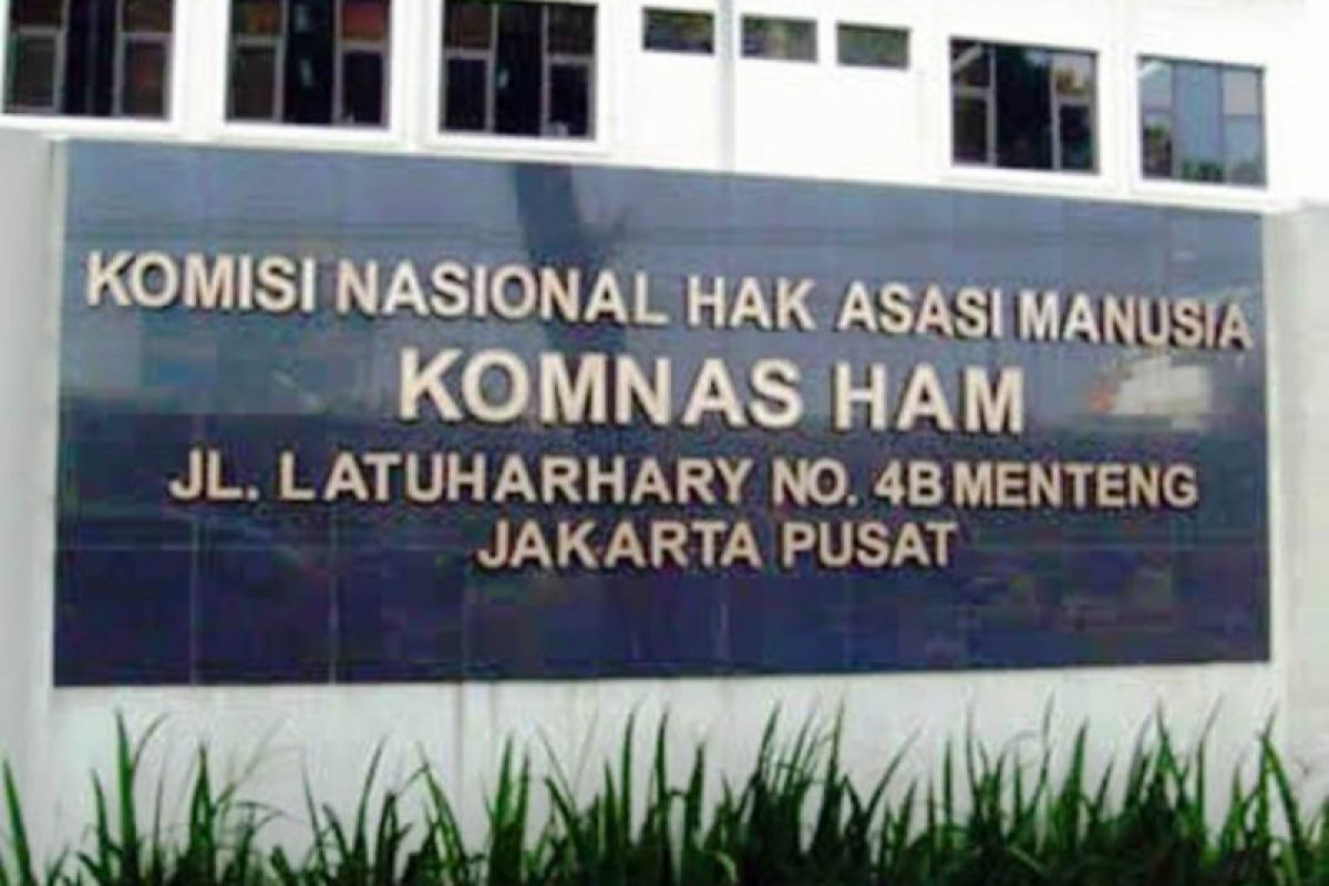 LAKSI kritik Komnas HAM terkait dengan kasus Paniai Papua