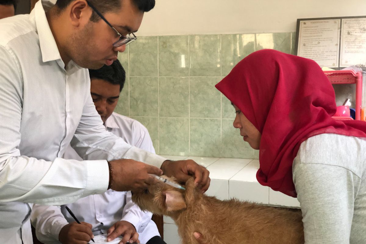 DPP: Vaksinasi rabies di Yogyakarta diprioritaskan untuk anjing