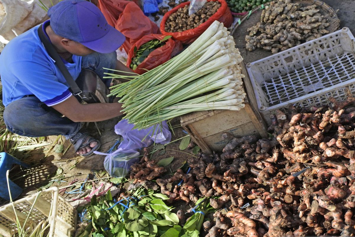 Permintaan tinggi, harga jahe dan temulawak di Madiun naik