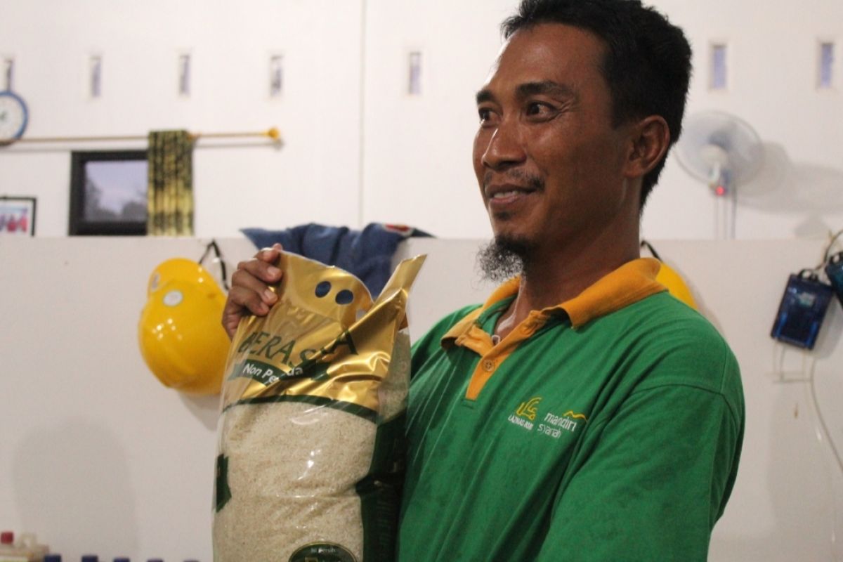 Jaga lingkungan, petani Lampung Tengah kembangkan beras sehat
