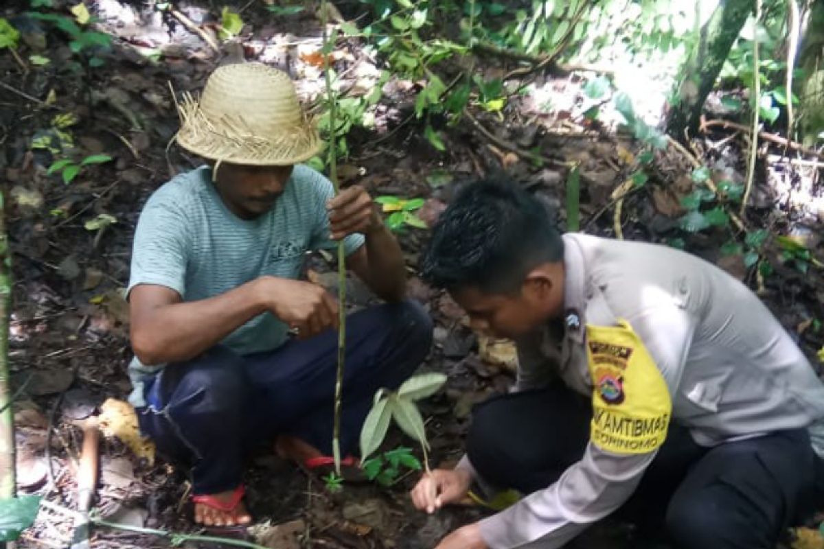 Pemda, TNI dan Polri di Dompu tanam pohon di sekitar mata air
