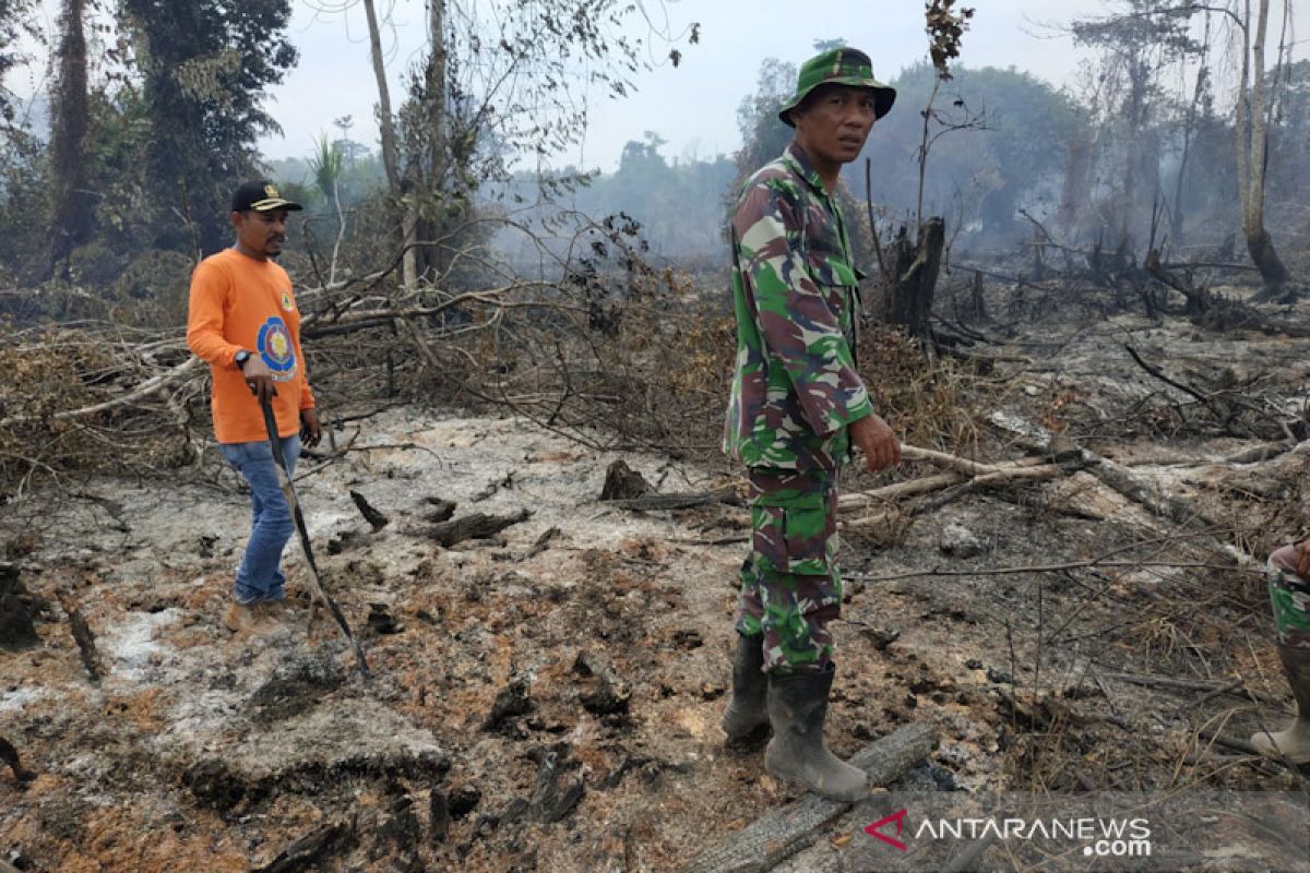 5 hektare lahan gambut kembali terbakar di Aceh Jaya
