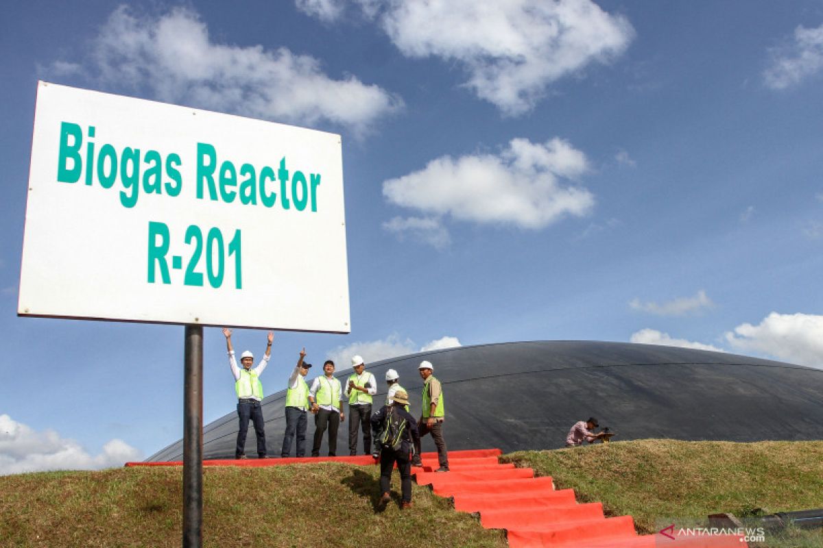 Energi baru terbarukan limbah sawit bagi mitigasi perubahan iklim