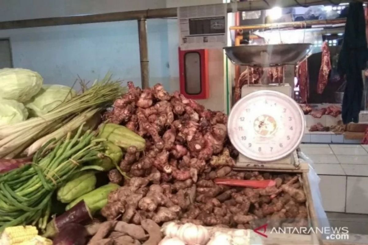 Akademisi Singaraja-Bali: obat herbal mampu lawan COVID-19