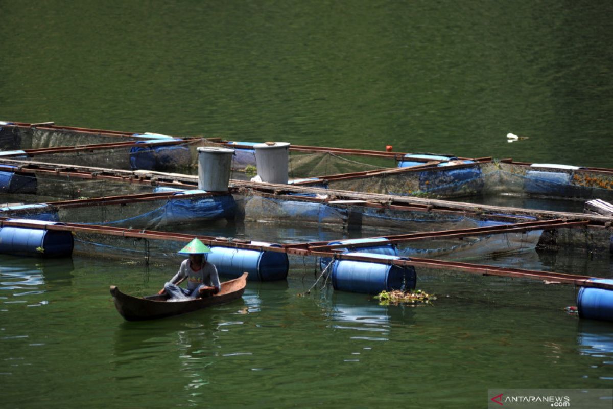 Jumlah KJA Danau Maninjau masih rancu, KKP lakukan pendataan ulang