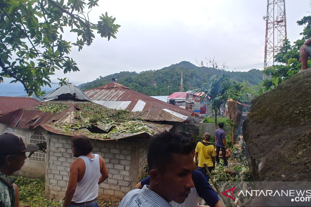 Pohon tumbang timpa Mushalla lama di Rawang Padang