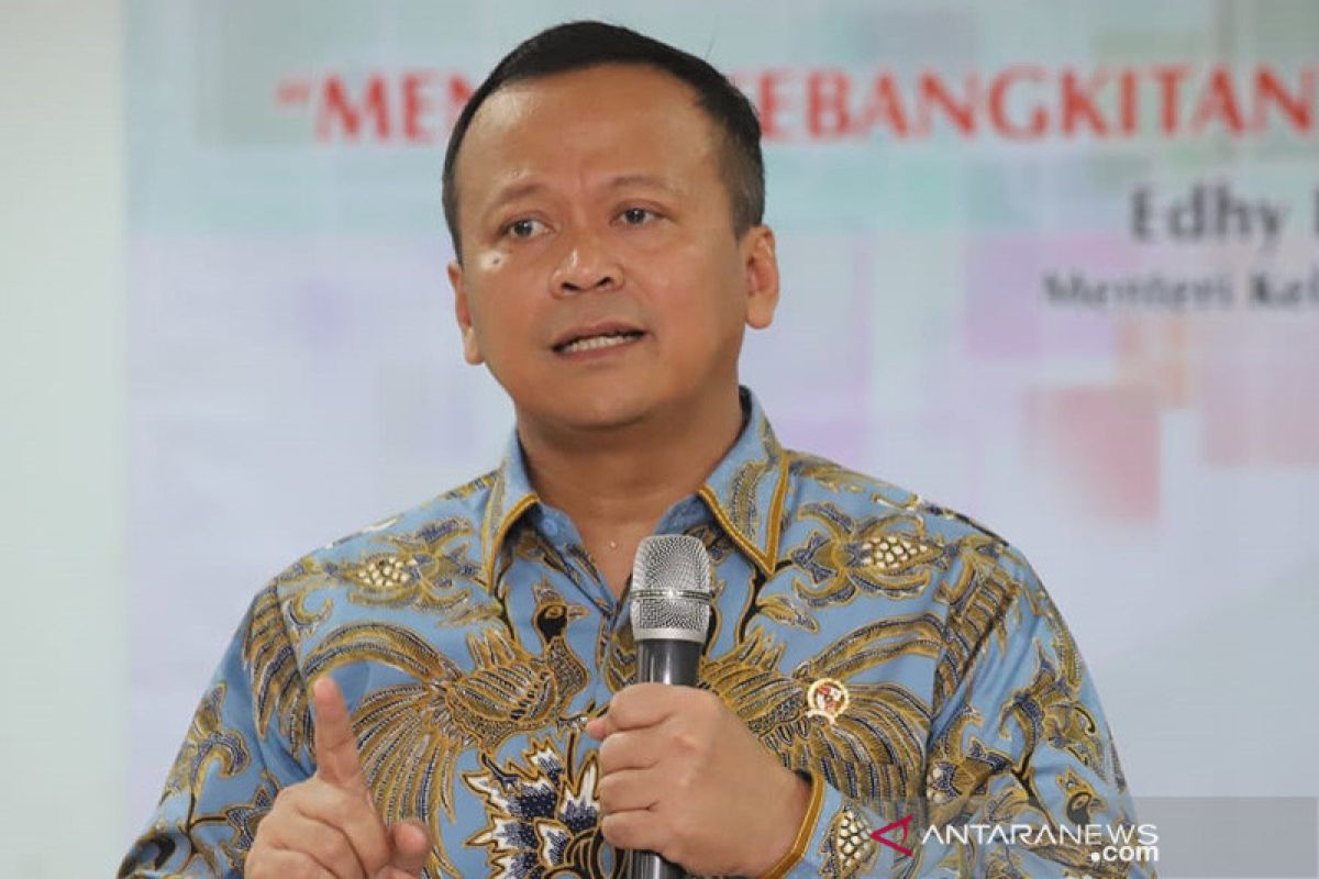 Menteri Edhy sarankan sasaran magang mahasiswa di wilayah pesisir