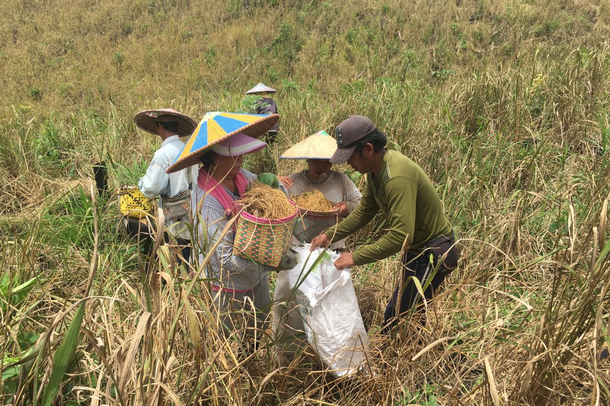 Temui Ketua BPIP, organisasi masyarakat Dayak minta hentikan kriminalisasi peladang