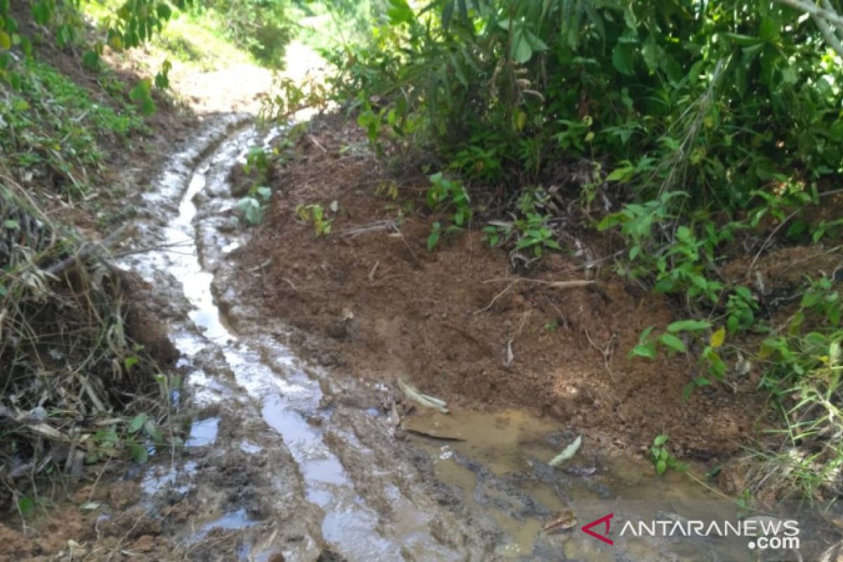 Akses Jalan Dua Kampung Kecamatan Bongan Lumpuh Total