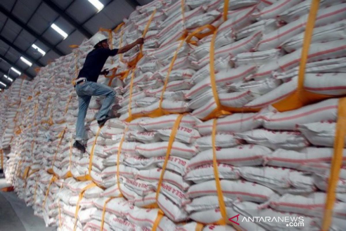 AGRI sarankan pemerintah permudah birokrasi impor gula mentah
