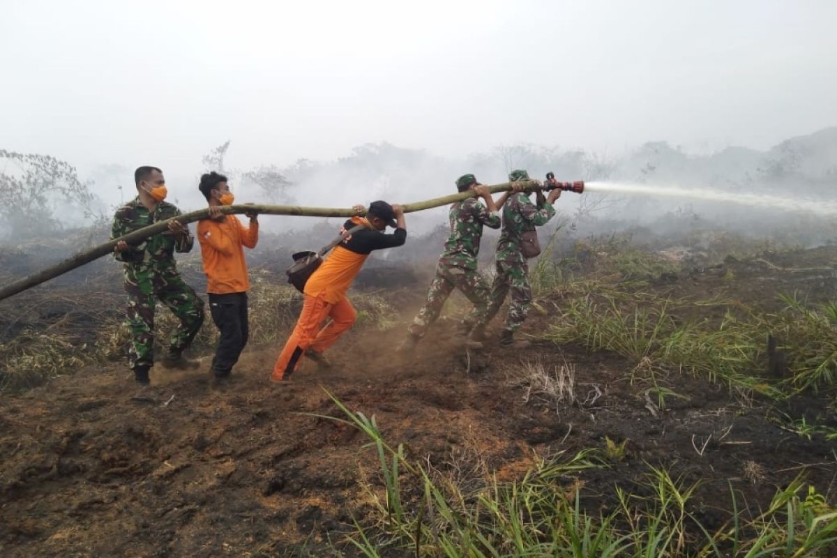 20 Hektare lahan milik warga terbakar di Nagan Raya Aceh