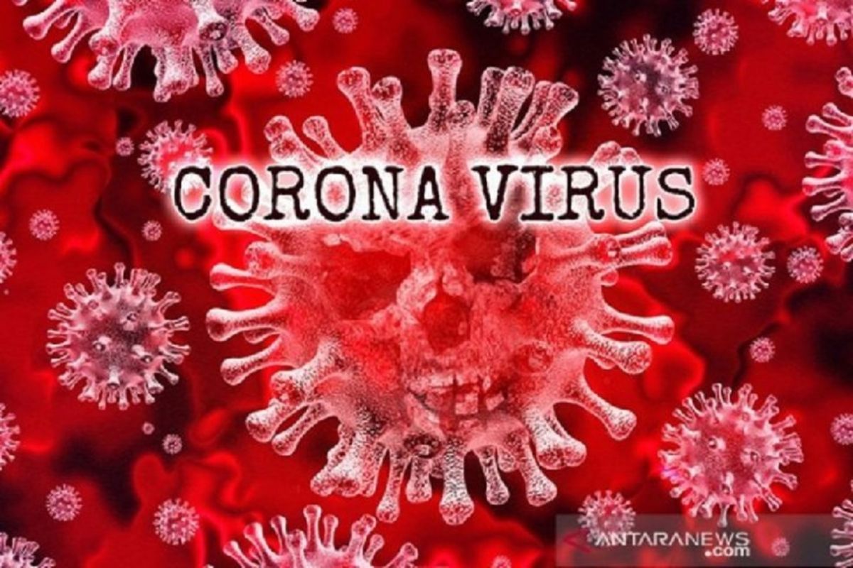 Baru lahir, seorang bayi dinyatakan positif tertular virus corona