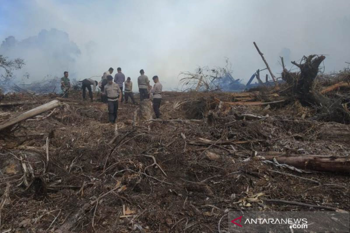 Lahan gambut kembali terbakar di perbatasan Aceh Jaya dan Aceh Barat