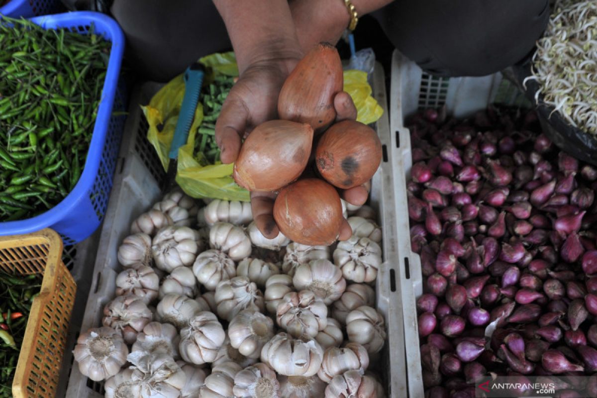 6.800 ton bawang bombai sudah masuk Indonesia