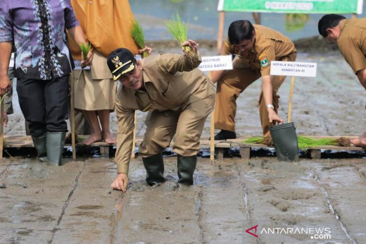 Kota Solok jadi lokasi kunjungan peserta Penas Tani