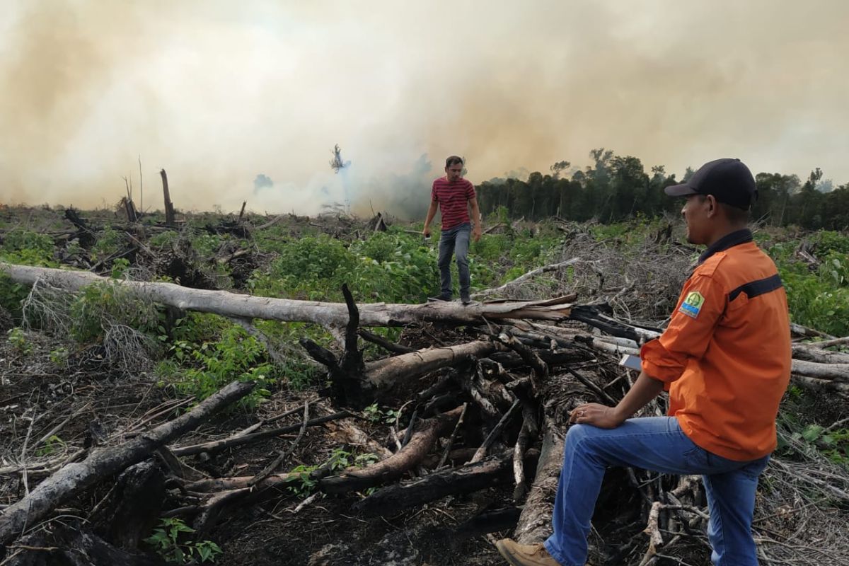 BPBA Kebakaran Lahan Gambut Di Aceh Jaya Meluas Capai Hektare ANTARA News