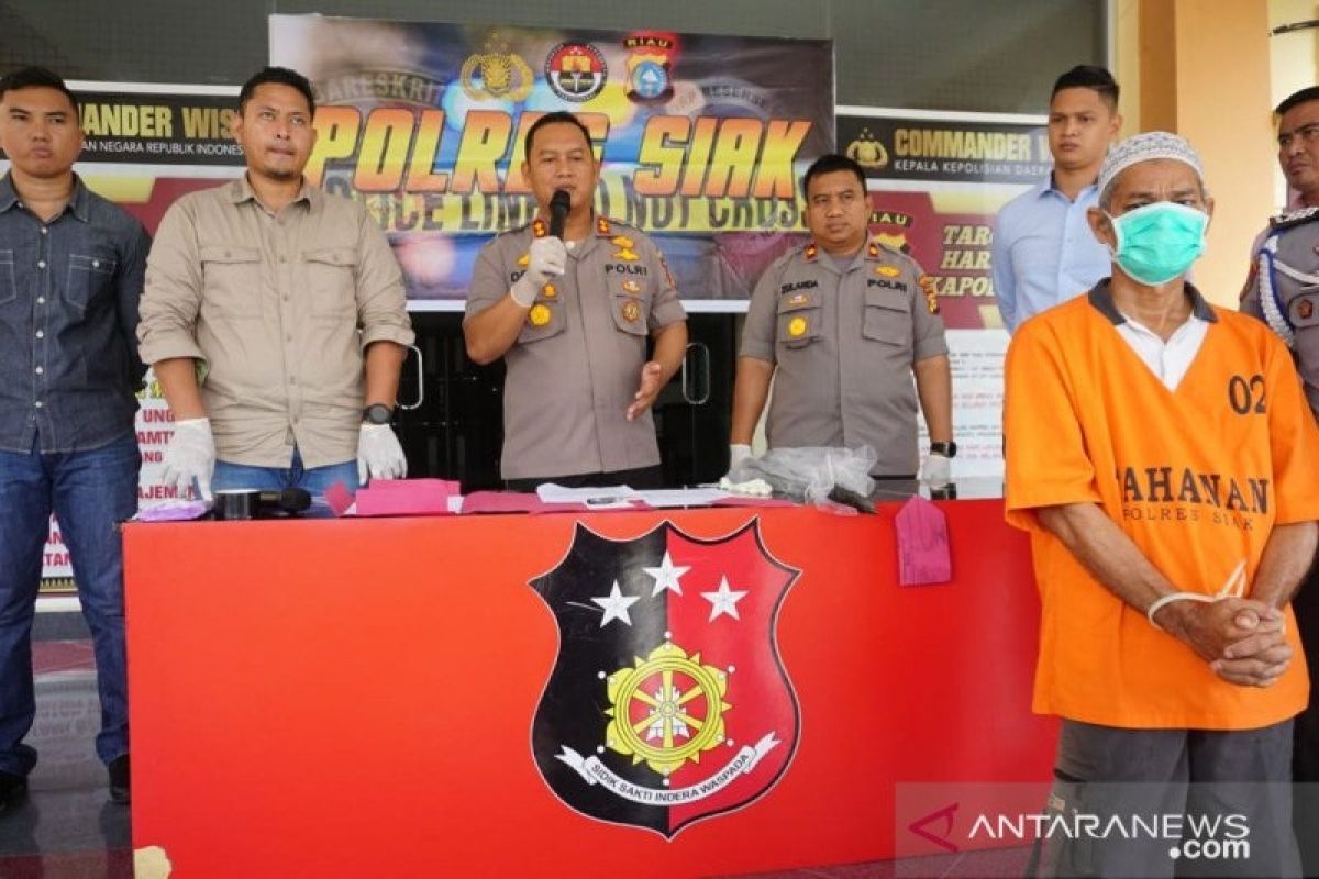 Pembakar lahan tanaman nanas di Siak dibekuk polisi