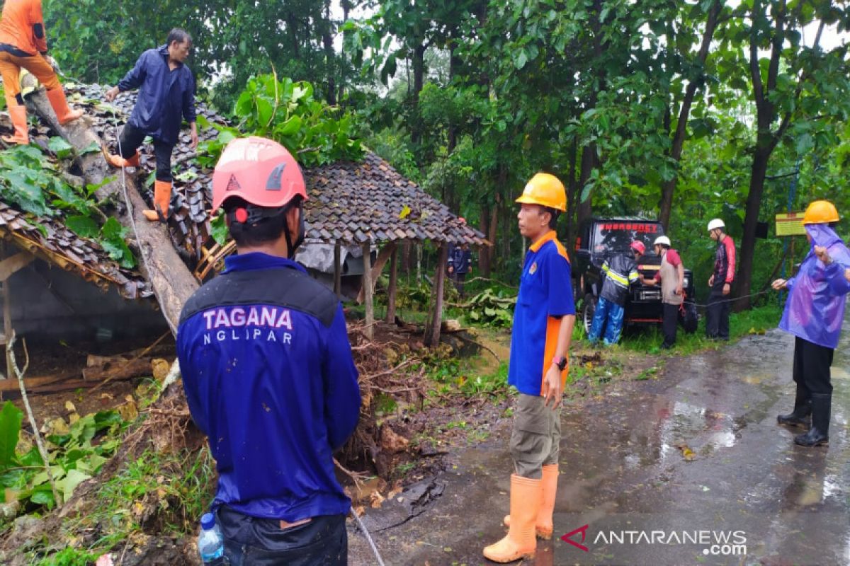 BPBD Gunung Kidul sebut ada 30 kejadian pohon tumbang akibat hujan deras