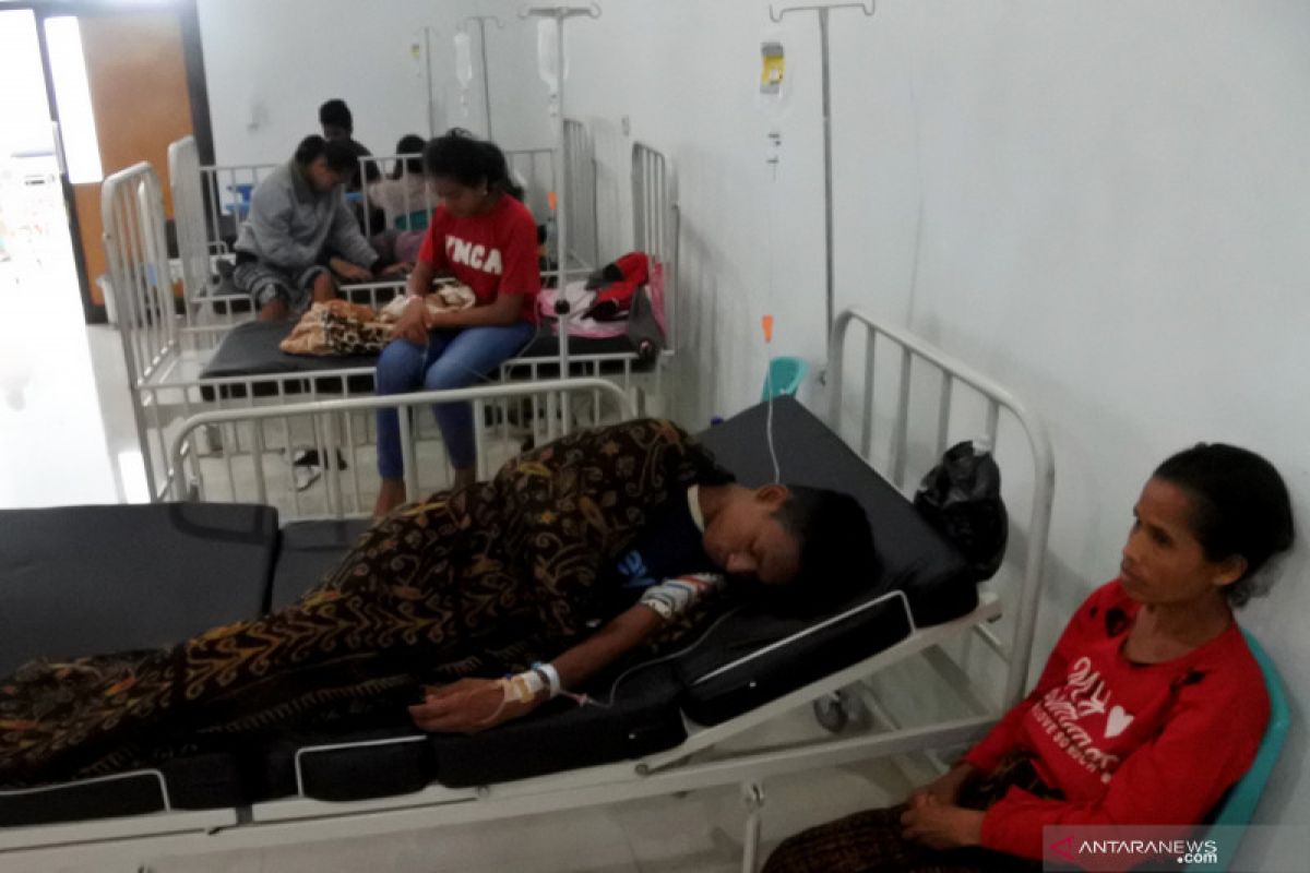 Korban meninggal akibat DBD  Sikka jadi 14 orang