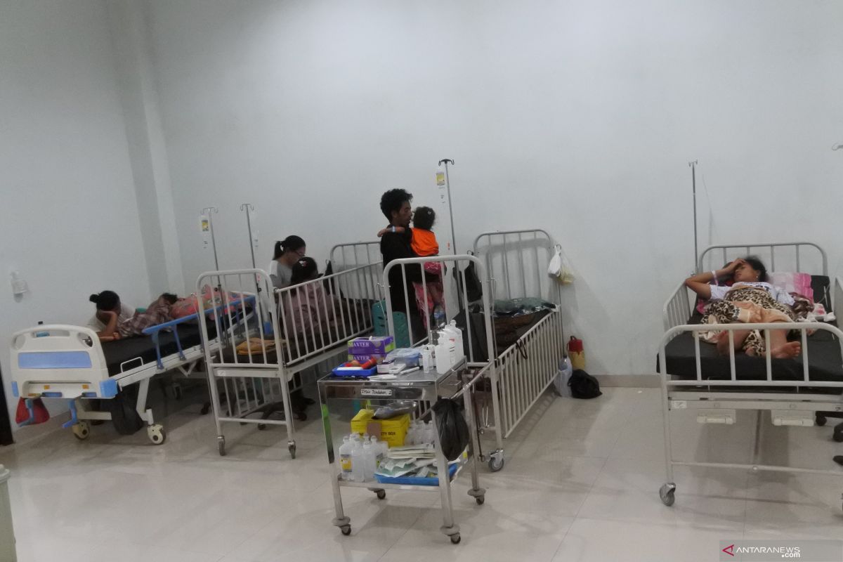 East Nusa Tenggara Health Office confirms 37 dengue fever deaths