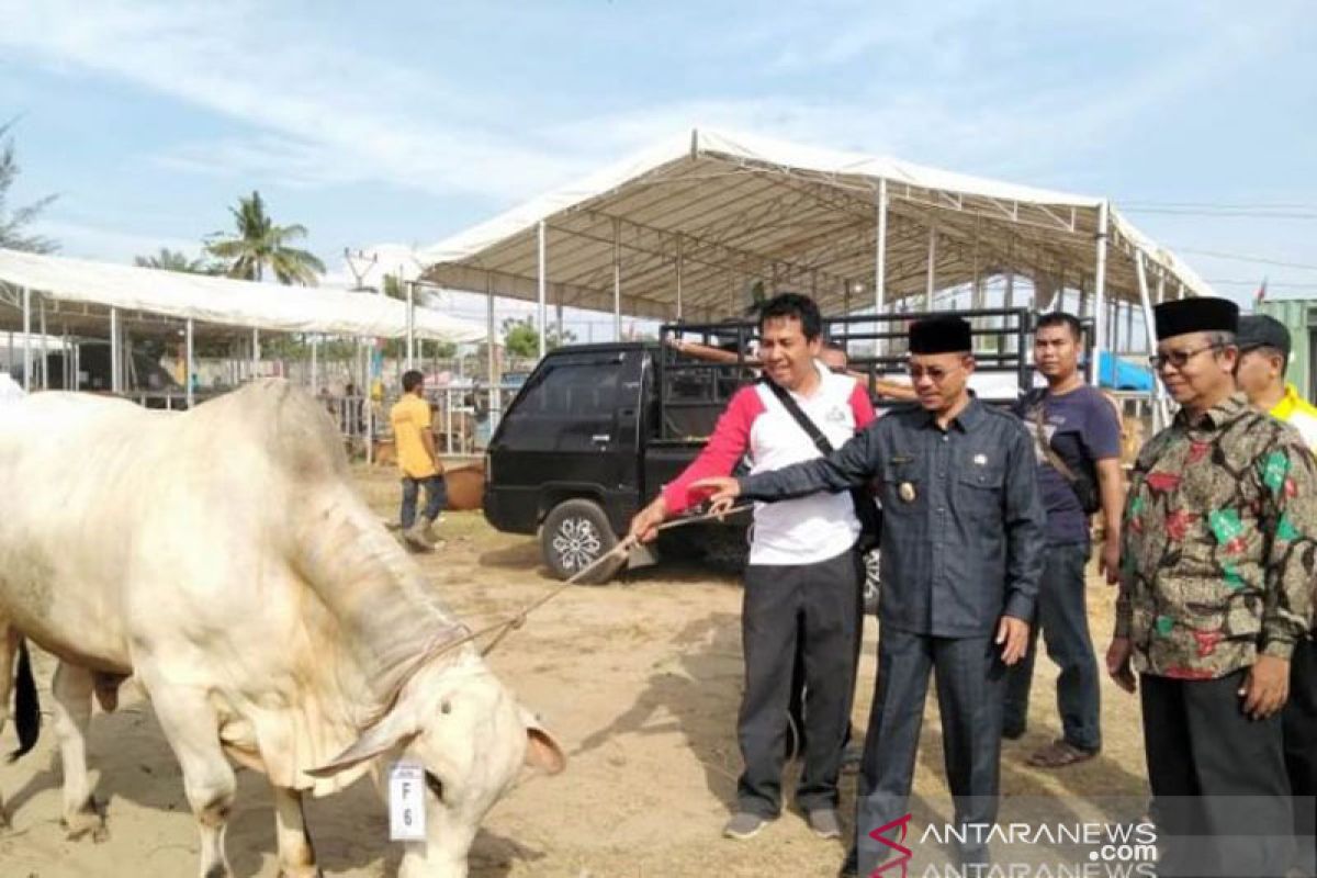 Pemkab Abdya dorong peternak budidayakan sapi lokal