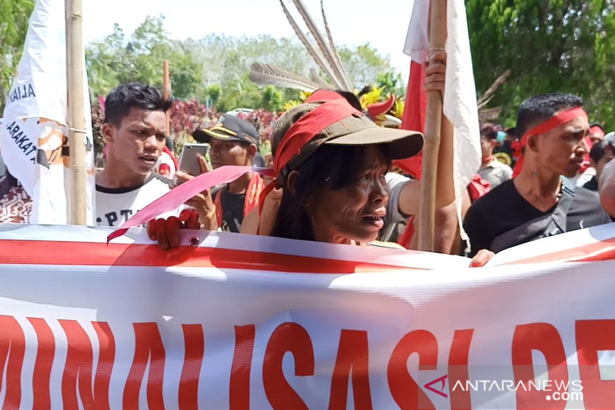 Anggota DPRD Bengkayang nilai perlu ada Perda lindungi peladang