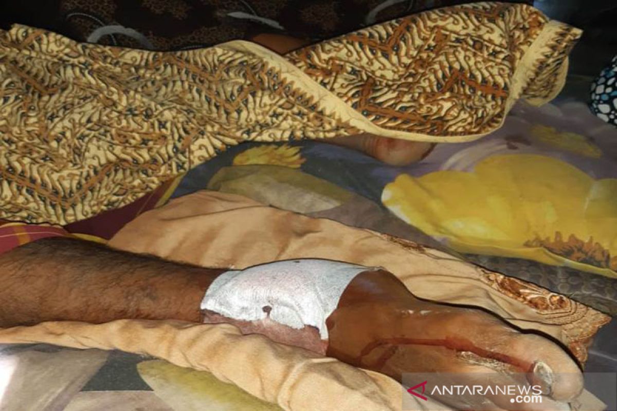 Seorang petani nyaris tewas saat diterkam buaya di Aceh Timur