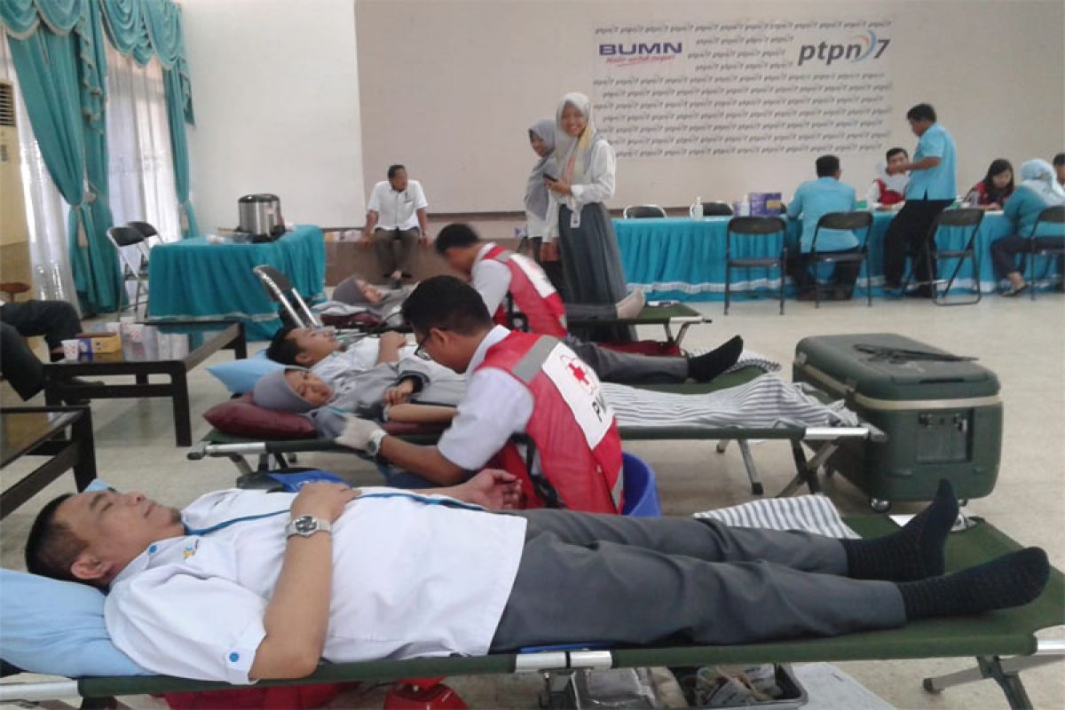 Donor Darah Mengawali Agenda HUT Ke-24 PTPN VII