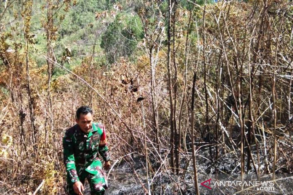 Dua hektare lahan di Agam terbakar, penyebab belum diketahui