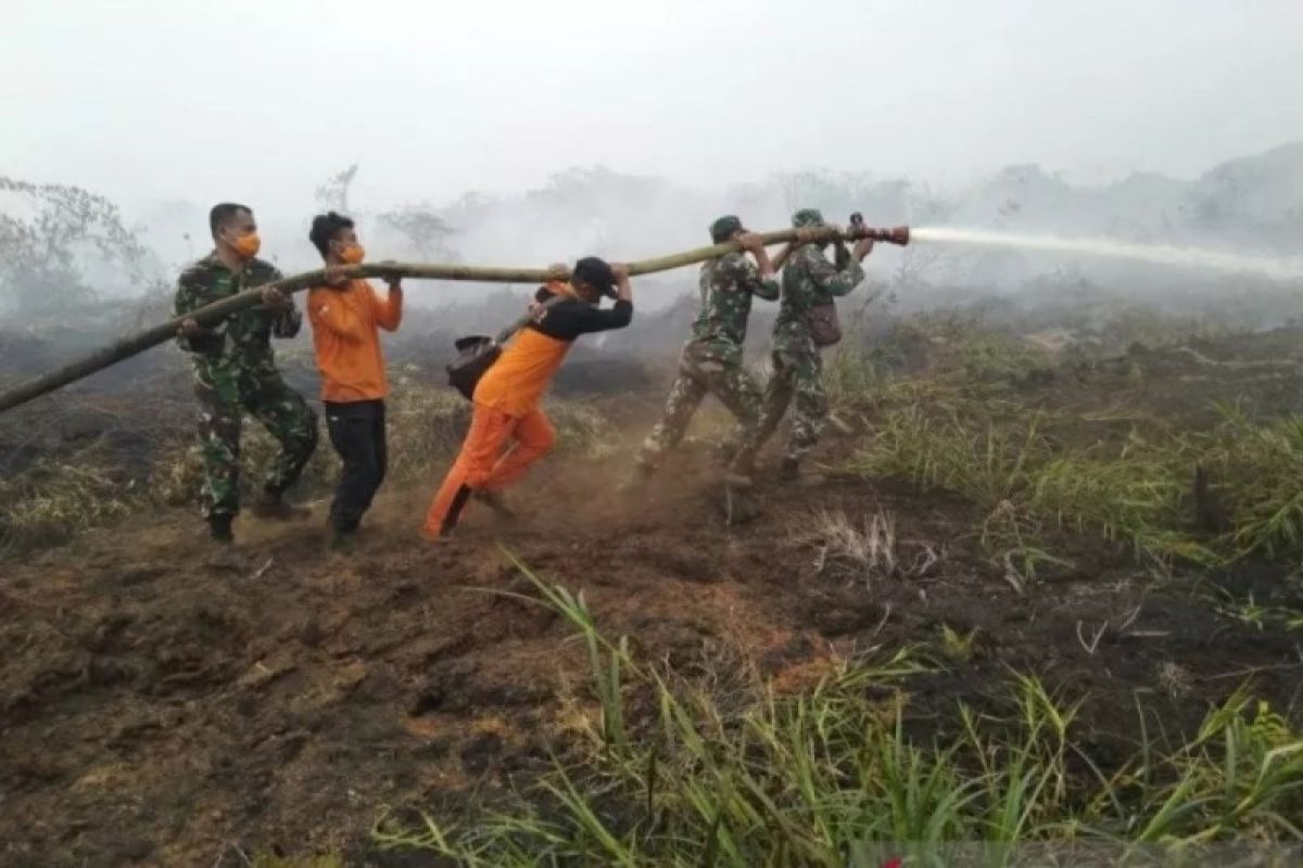 Puluhan Ha lahan terbakar di Nagan Raya Aceh