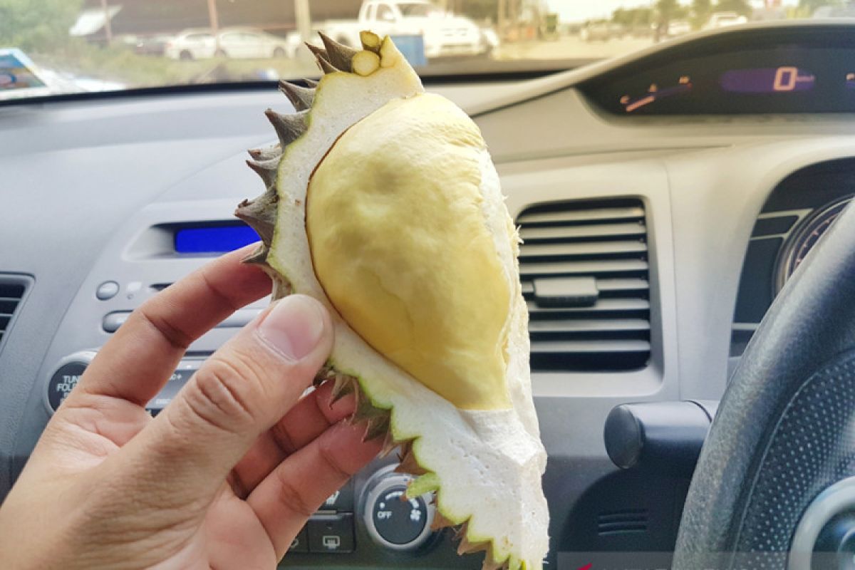 Durian dan nangka komponen baterai mobil listrik masa depan?