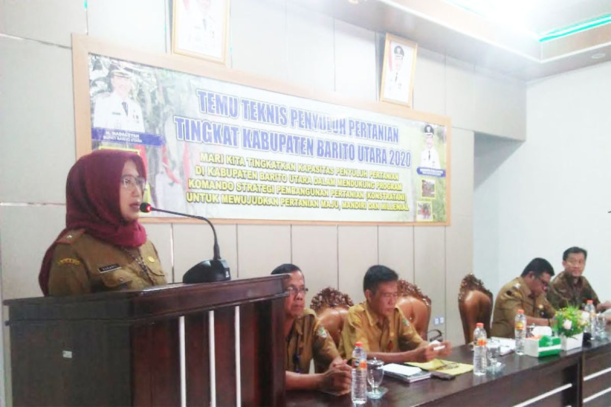 Barut salah satu dari tujuh kabupaten terima Kostrada