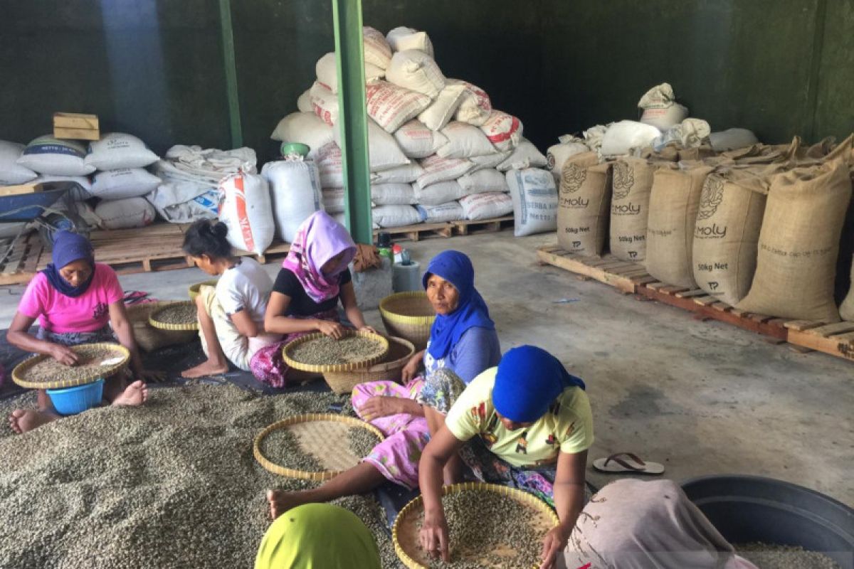 Bupati Lombok Utara mengajak petani kopi perbaiki perlakuan pascapanen