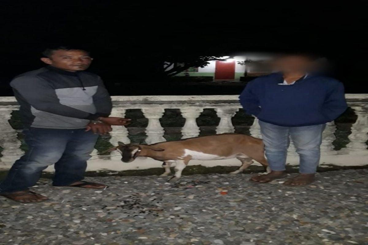 Curi kambing, Ayah dan anak kandungnya diamankan Polisi Bahorok Langkat