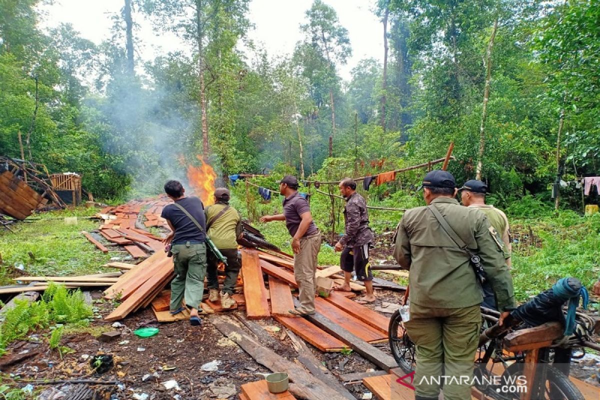 10 pondok pembalak liar di Giam Siak Kecil Riau dimusnahkan