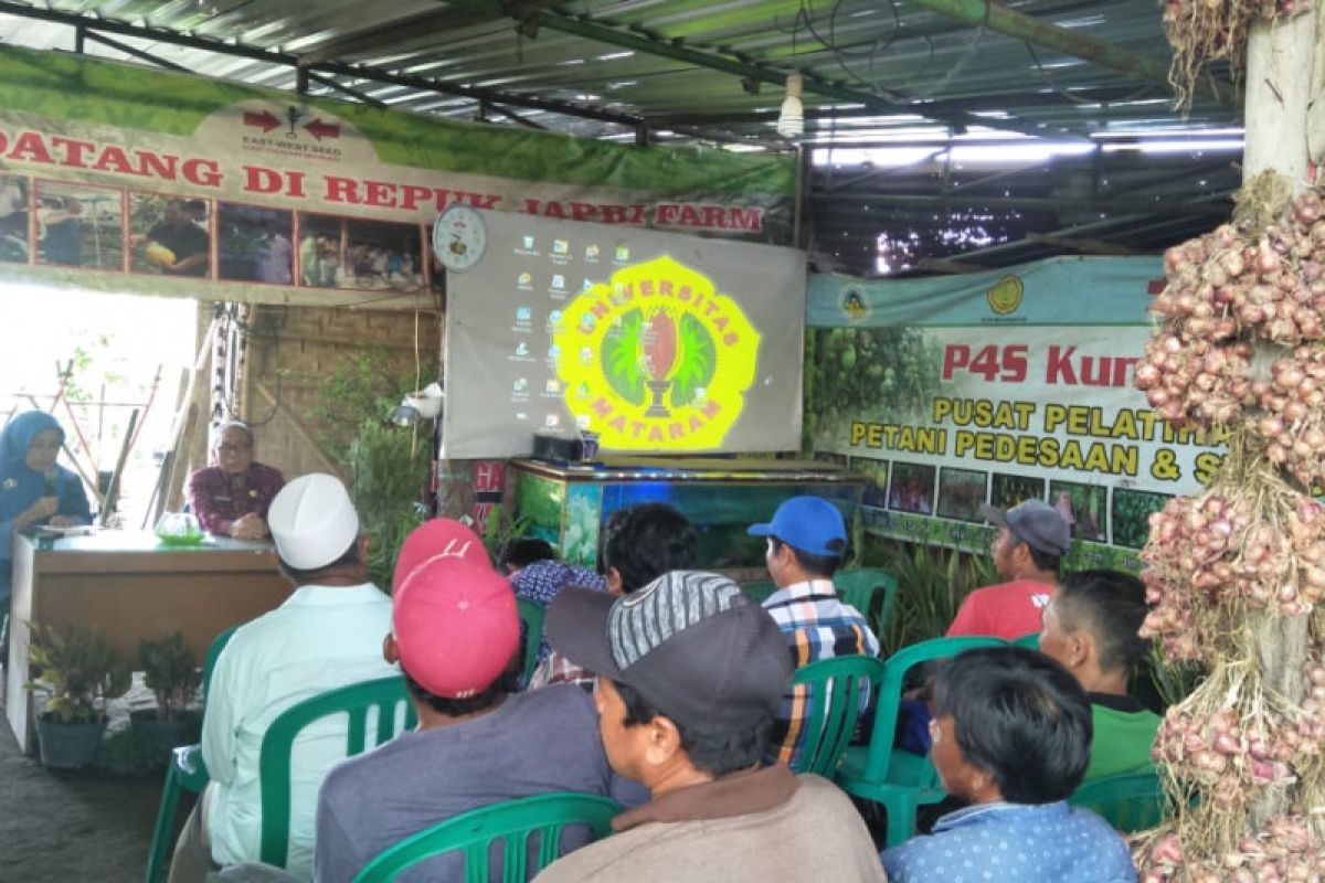 Petani cabai Kota Mataram diedukasi teknologi "rain shelter"