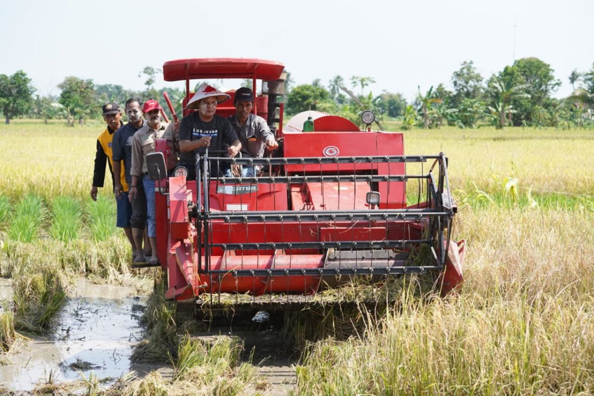 Kalsel sukses laksanakan program pertanian di lahan Serasi