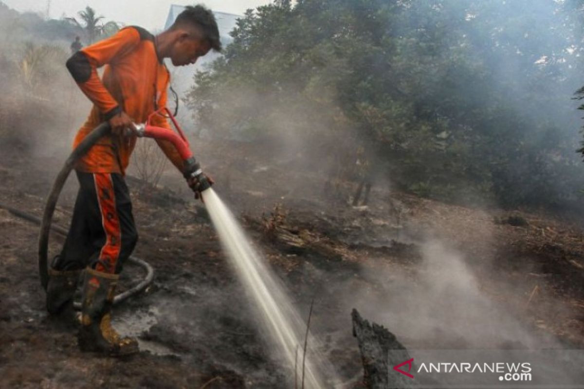 Dishut Bangka Belitung tangkap petani pembakar hutan lindung