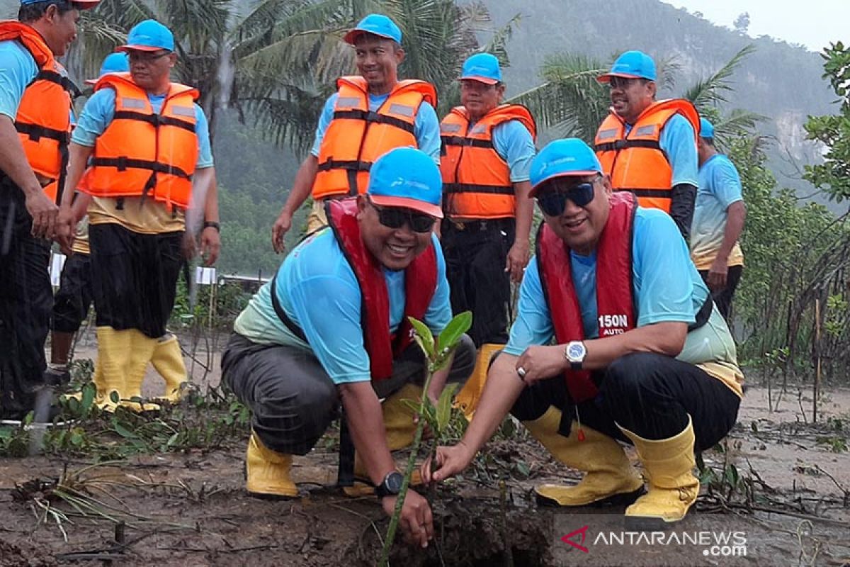 Pertamina Cilacap tanam 50.000 bibit mangrove di  Pulau Momongan