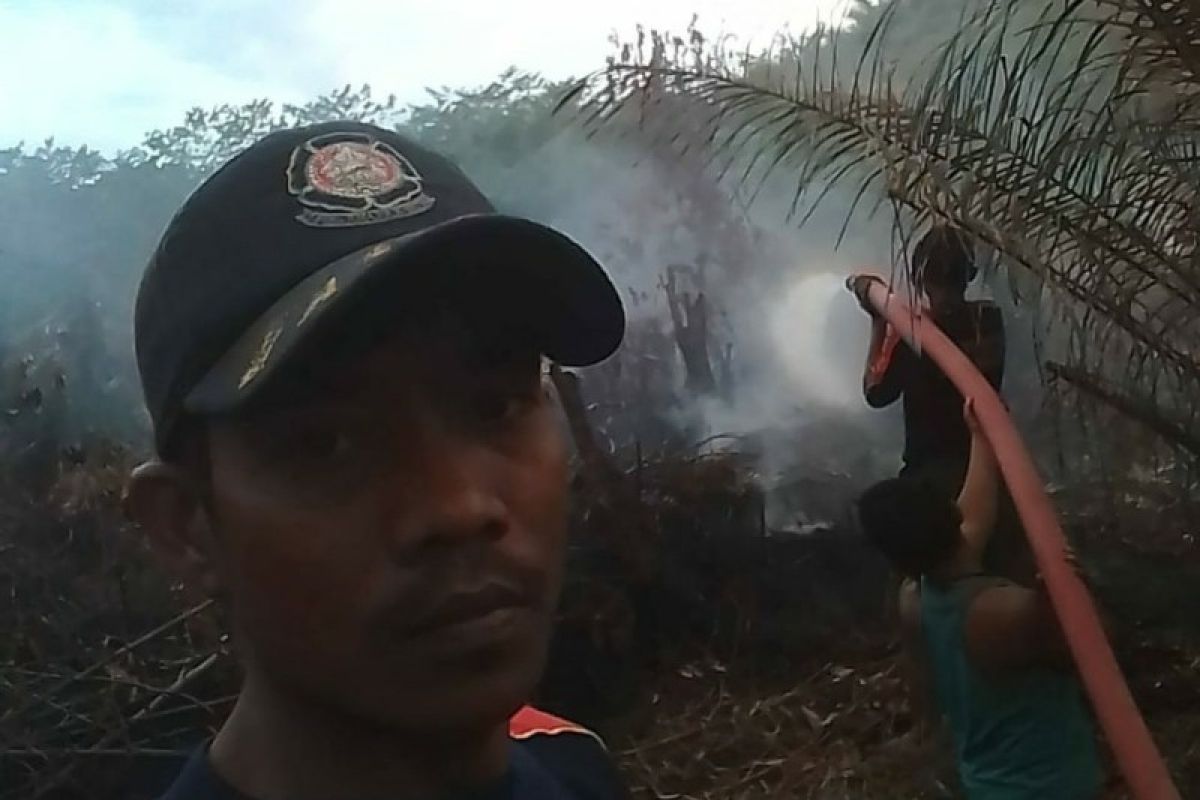 12 hektare lahan perkebunan sawit hangus terbakar di Aceh Singkil