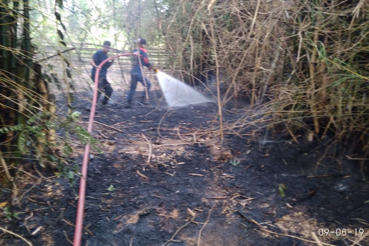 Satu hektare rumpun bambu hangus terbakar di Aceh Utara