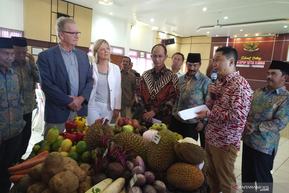 Kadin Jatim dan Belanda lanjutkan pendampingan peternak sapi perah di Pasuruan