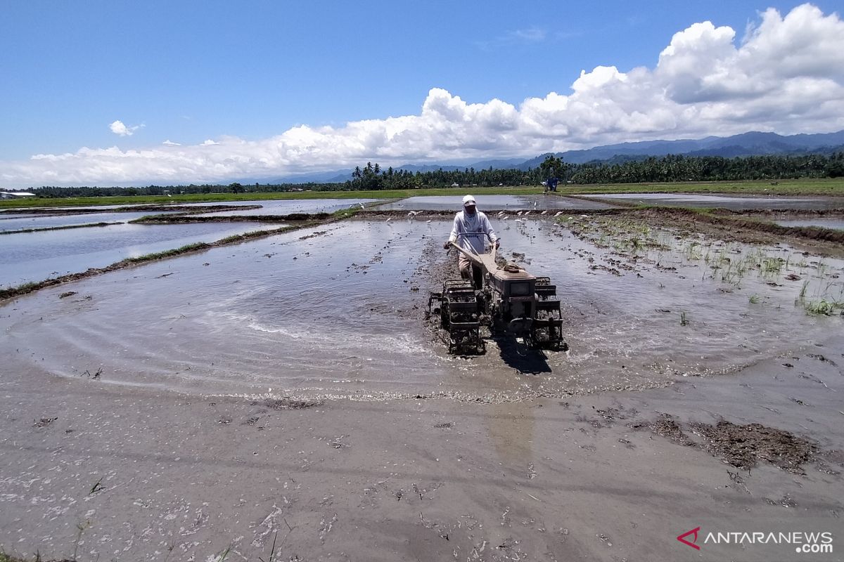 Dinas Pertanian imbau petani  membuka lahan tanpa membakar