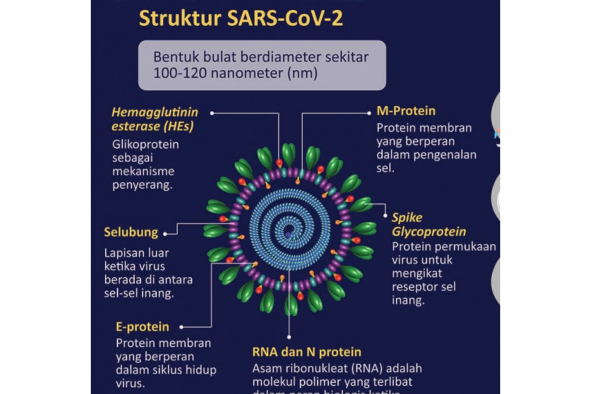 Hajj pilgrims must be cautious of MERS-CoV: Ministry