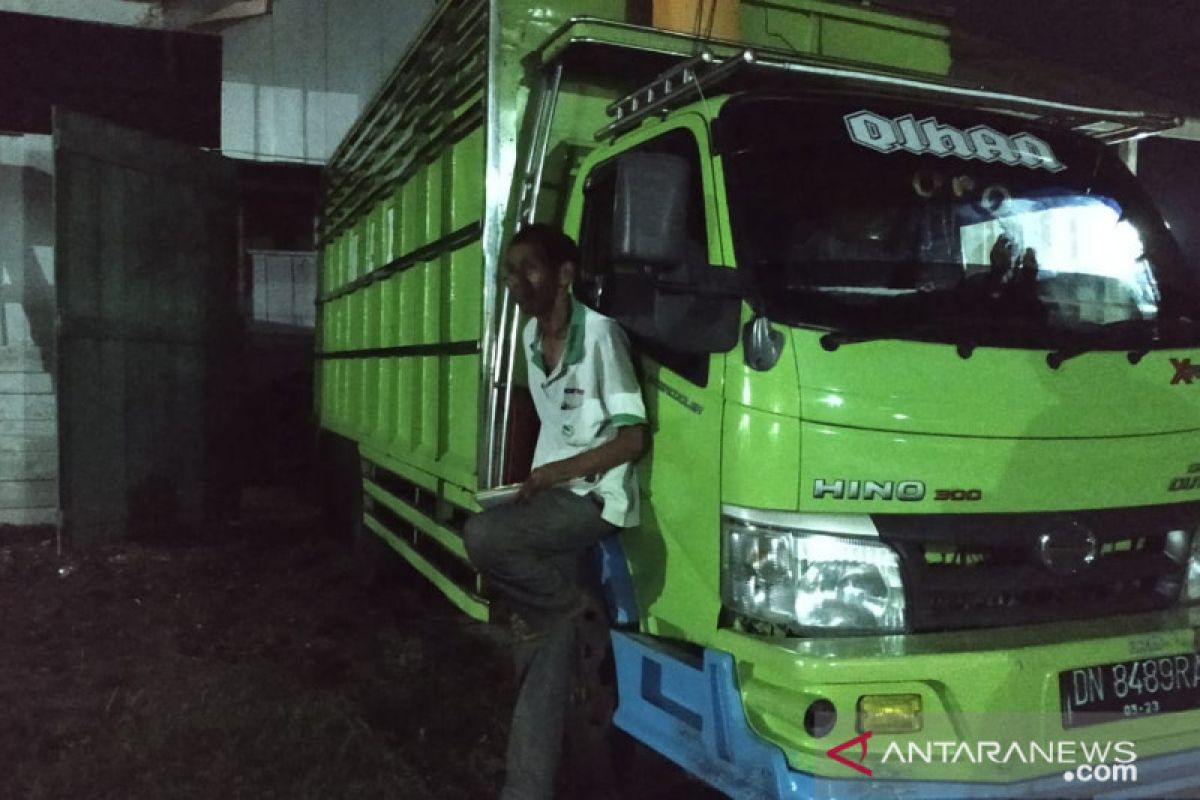 Polisi Kehutanan amankan tiga truk bermuatan kayu ilegal di Banggai