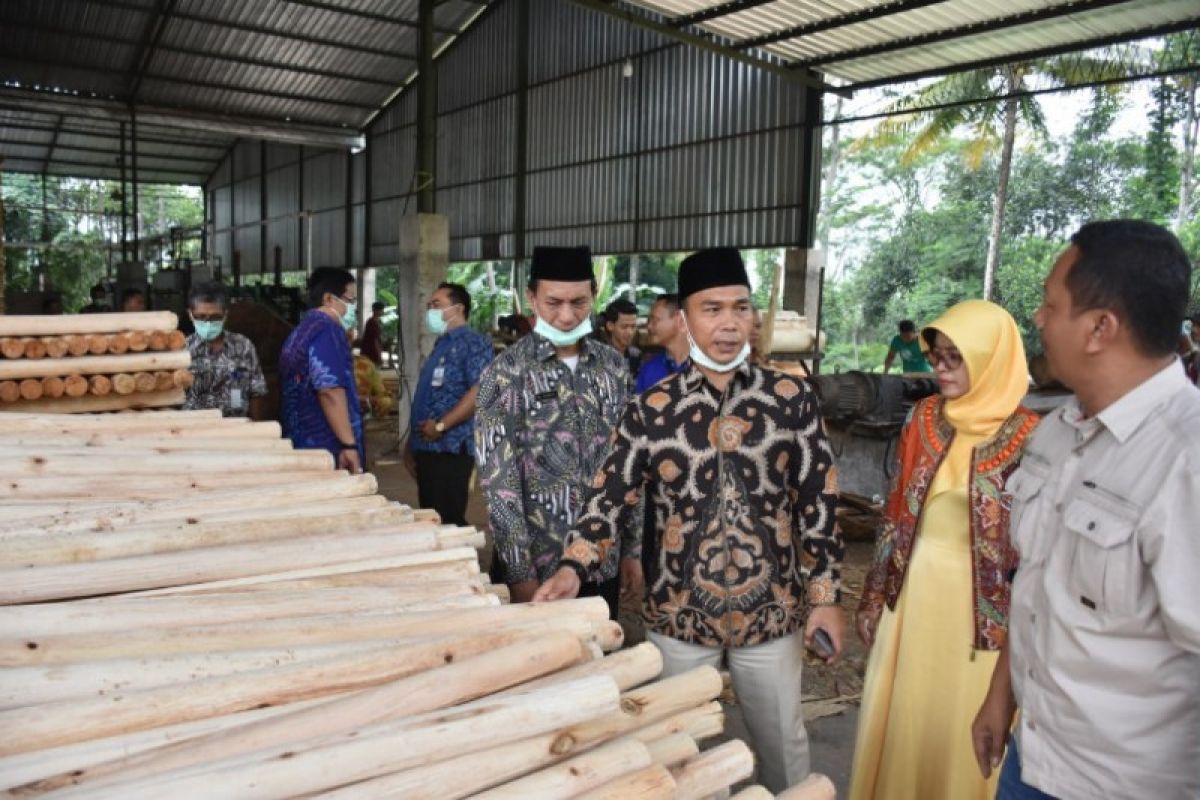 10 perusahaan kayu di Jateng terancam tutup akibat dampak corona