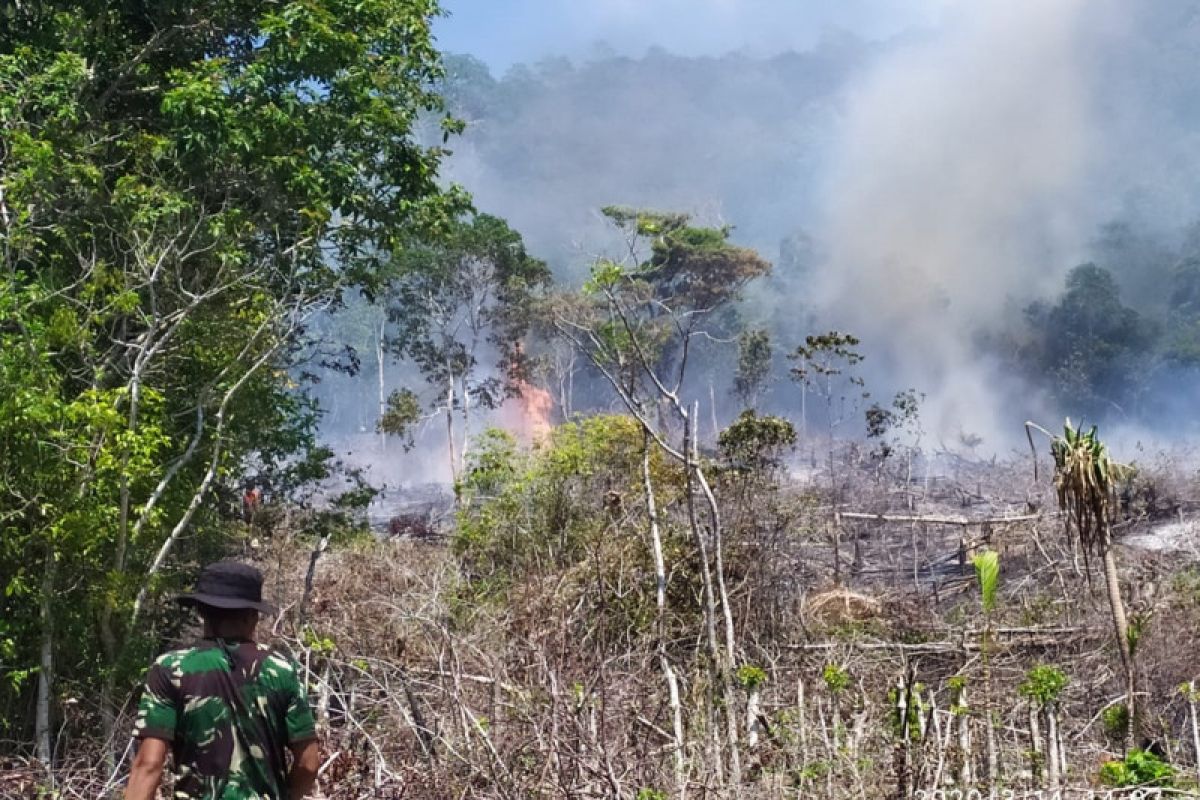 35 titik panas terpantau di wilayah Aceh