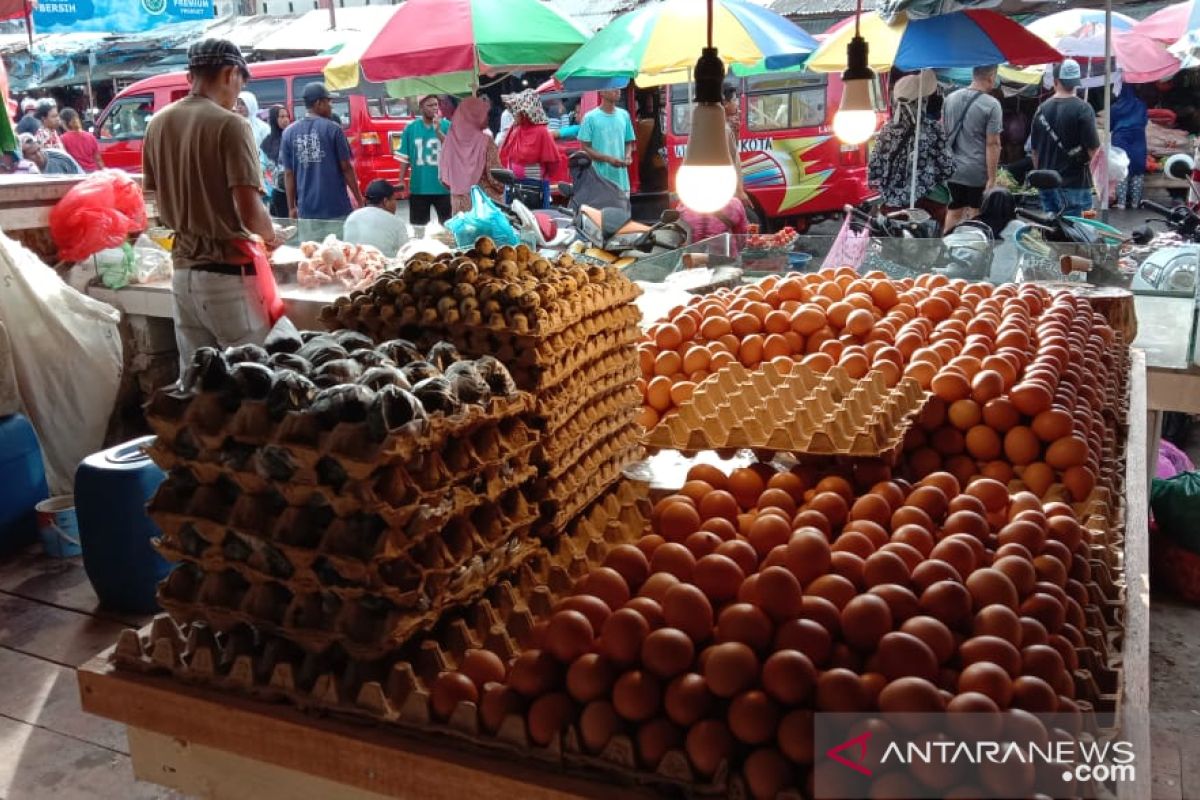 Harga telur ayam ras di Ambon bergerak naik