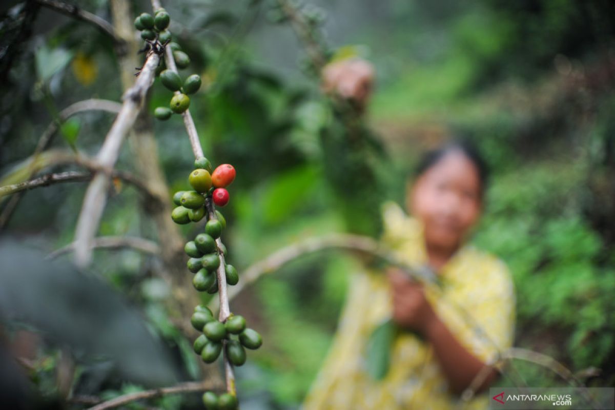 Menperin dukung kampanye Satu dalam Kopi