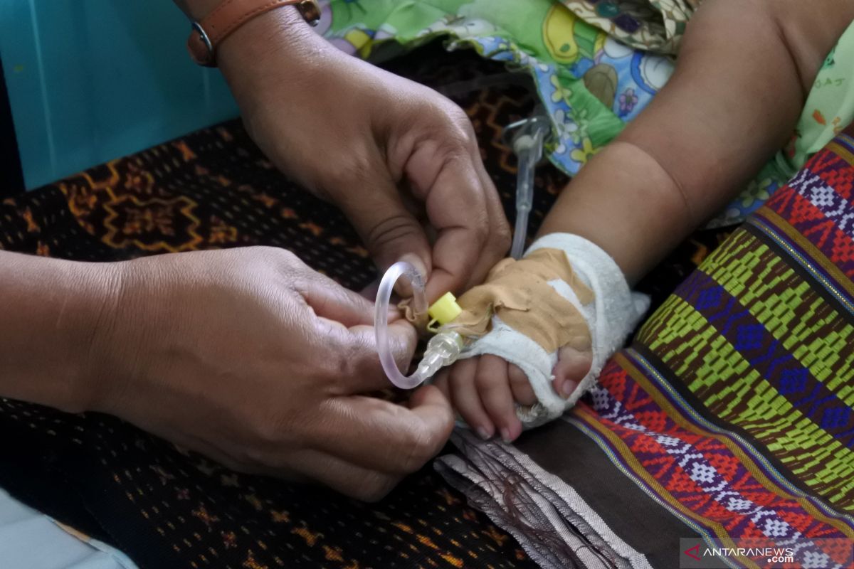 1.313 orang penderita DBD di Sikka sudah sembuh